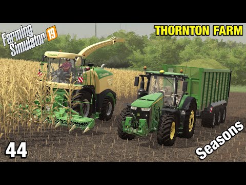 CUTTING CORN WITH A FORAGER FOR SILAGE Thornton Farm Timelapse - FS19 Ep 44