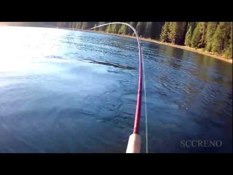 Almanor smallmouth bass fishing from my float tube