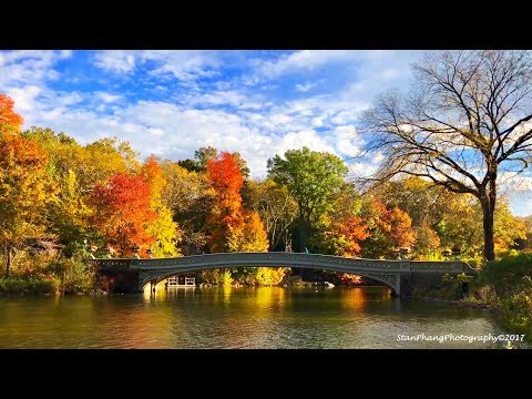 download lagu mp3 mp4 Central Park Fall Foliage 2018, download lagu Central Park Fall Foliage 2018 gratis, unduh video klip Central Park Fall Foliage 2018