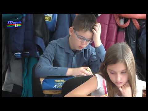 jurnal musceltv 26 02 2018 olimpiada de matematica faza locala   ela ionascu