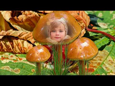 download lagu mp3 mp4 mieszne Grzybki, download lagu mieszne Grzybki gratis, unduh video klip mieszne Grzybki