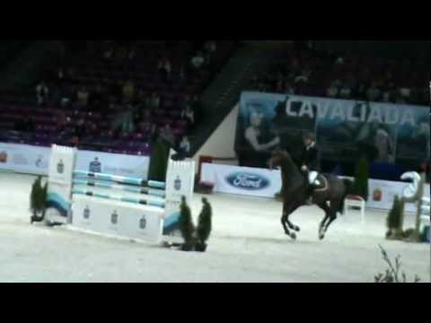 Six bar winner,190cm, Contendro II,CSI-3* Warshau