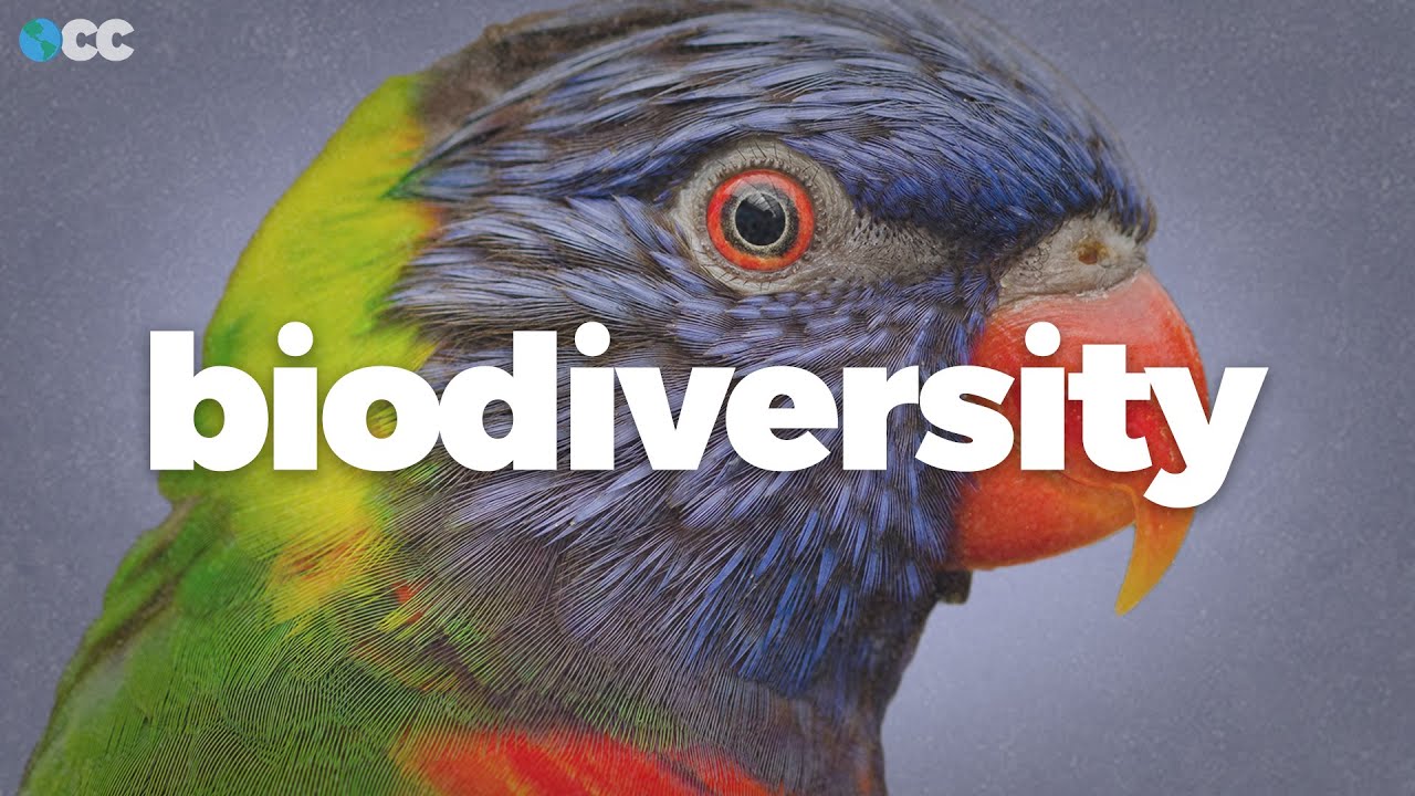 Biodiversity is collapsing worldwide. Here's why.