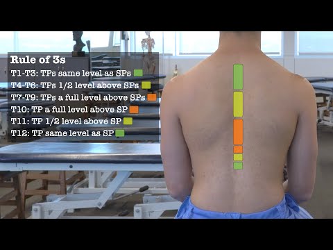 Thoracic & Lumbar Spine Palpatory Landmarks for Physical Examination & Osteopathic Structural Exam