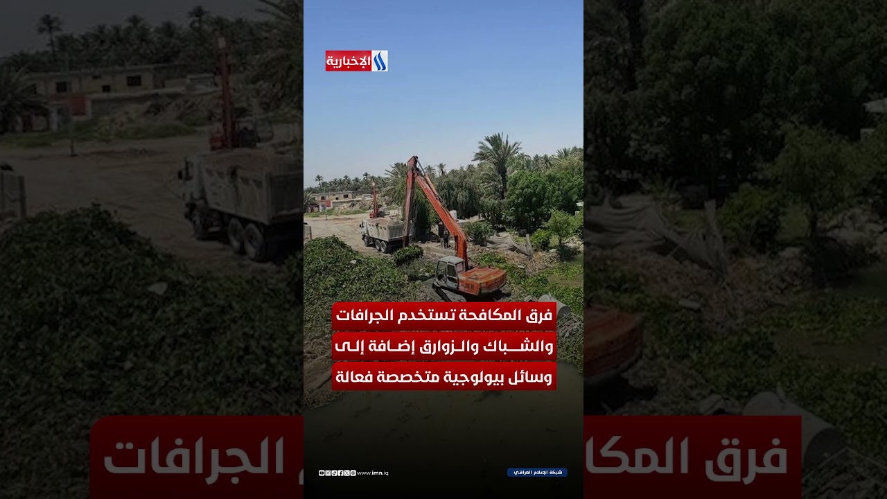 فيديو | حاجز بطول 400 متر في الفرات.. معركة جديدة ضد زهرة النيل الغازية