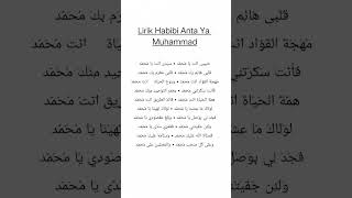 Download lagu lirik HABIBI ANTA YA MUHAMMAD mp3
