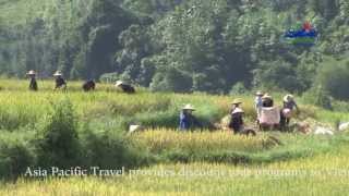 preview picture of video 'Quan Ba Dist - Ha Giang Province Trekking'