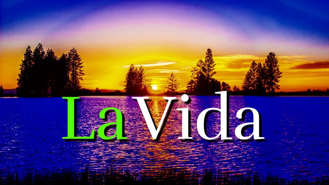 BUENOS Consejos y Mandamientos De La Vida ¦ Gratitud, Frases, Reflexiones, Agradecimiento, Reflexión