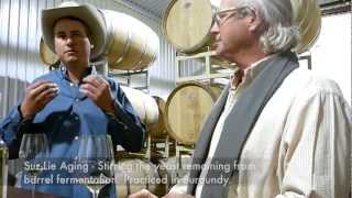 preview picture of video '2011 Blanc du Bois Winemakers Tasting Note - William Chris Vineyards'