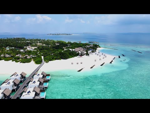 Videos del Emerald Maldives Resort  Spa 5★ en Raa Atoll, MaldivasVer MásVerPrecios19CerrarConsulta por Whatsapp 🇦🇷BookingTripadvisorExpediaAgodaTravelocityOrbitzTripSkyscannerDespegarKayakHotelesBestdayDestiniaTrivagoTurismocityLastminuteHotwireTuiWotif