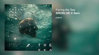 DROELOE x Sem - Facing the Sea