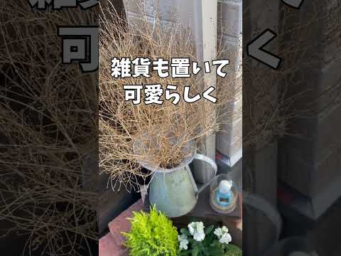  「木の周りに花壇を作るには？」プロジェクトを実行するために知っておくべきルールは何ですか？ »  庭園