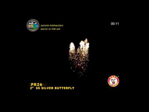 PR26 - 2 INCH ROMAN CANDLE - WIZARD FIREWORKS