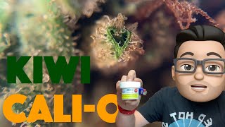 CALI-O strain by KIWI reviewed! Aka California-Orange | iPot Review