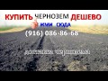 Чернозем 