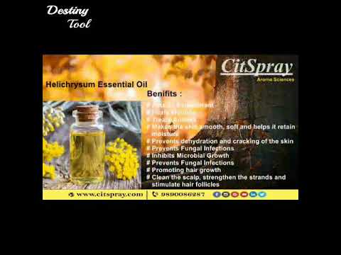 Liquid forest natural honey, packaging type: jar, packaging ...