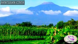 Download lagu PANCURAN CINTA (Cover Lagu Sunda) mp3 Download lagu PANCURAN CINTA (Cover Lagu Sunda) mp3