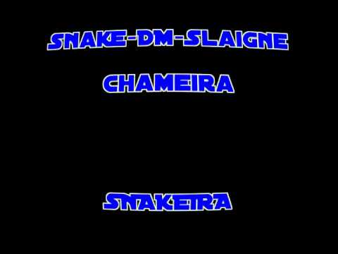 Snake-DM-Slaigne, Chameira - SNAKEIRA ( Neu Rap Hip Hop 2010 2011 )