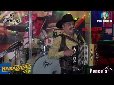 AL PIE DE UN ENCINO - L9S GAVILANES DE JT