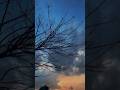 Hai Kasoor Kya ‍ Songlyrics Tranding Lyricvideo Lofi Lyricvideo Whatsappstatus Love