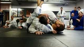 Ryron Gracie // Surviving, Defending, and Escaping the Sidemount