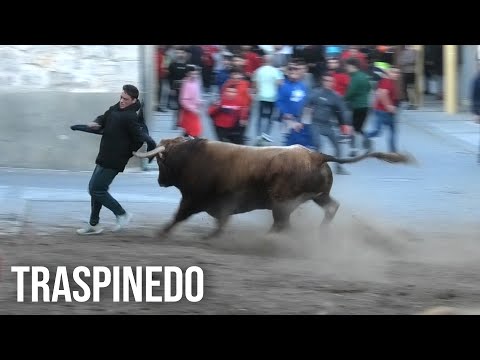 Traspinedo 2024 Cuatro Toros de Cajón
