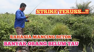 Download lagu Umpan Mantap Mancing Ikan Betok/Betik Di Rawa Air Keruh mp3