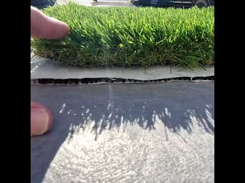 Short : centrage de la bande, marouflage fluide, brossage final