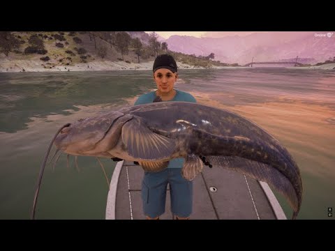 How to catch diamond Wels catfish in Call of the Wild The Angler