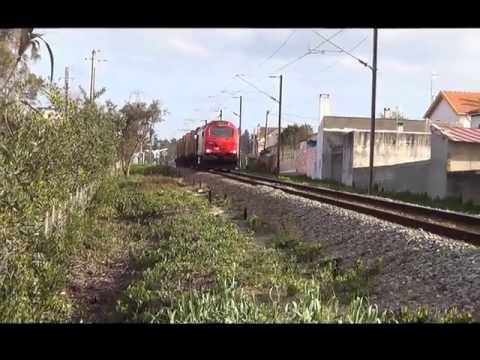 Comboio de Madeira nº 48898 - Linha do Oeste