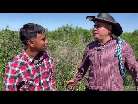 El roba vacas dise que ya no roba