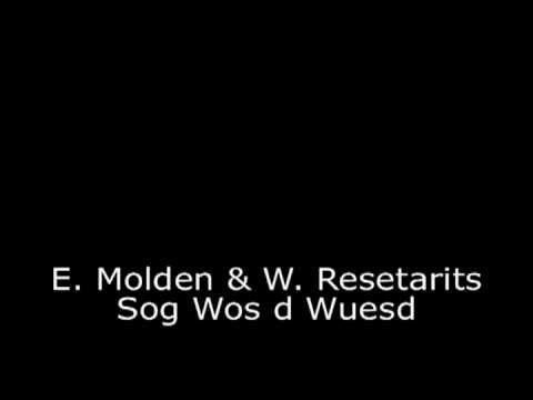 Ernst Molden & Willi Resetarits - Sog wos d wuesd