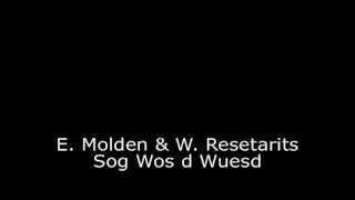 Ernst Molden & Willi Resetarits - Sog wos d wuesd