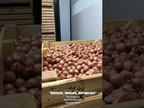 Промышленные холодильные камеры