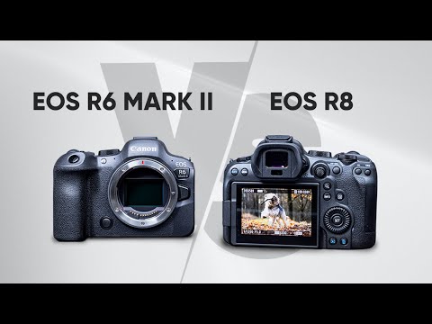 Canon EOS R6 Mark 2 vs Canon EOS R8  - Which One Should You Go For?
