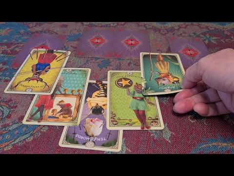 166. Worlds apart. The Markles and the Middletons