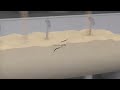 Exploring The Fu S Working Principle Animation Breakdown
