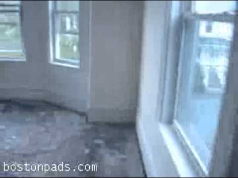 Boston Apartments - Waltham Apartment - Cozy place!