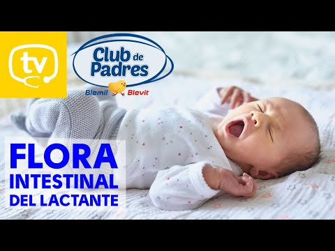La flora intestinal del lactante