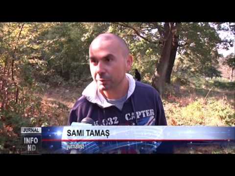 CURĂȚENIE LA PĂDUREA CHIZID