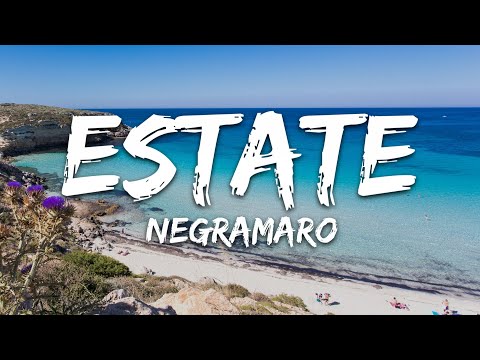 Negramaro - Estate (Testo/Lyrics)