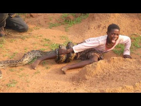 Nabuuka Omusota Kati Ndiko Olutwe Kirabika Muka Kitange Yandoga