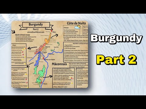 Burgundy Wine Region: The Ultimate Guide (Part 2) | Côte d’Or, Côte Chalonnaise & More!