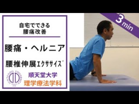 医学科 理学療法士が教える 腰椎伸展エクササイズ（腰痛の方向け）