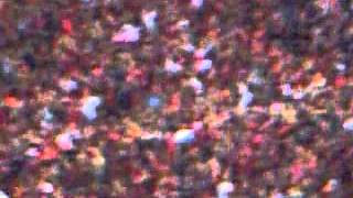 Download lagu Vamos vamos leones que está noche tenemos que ganar mp3