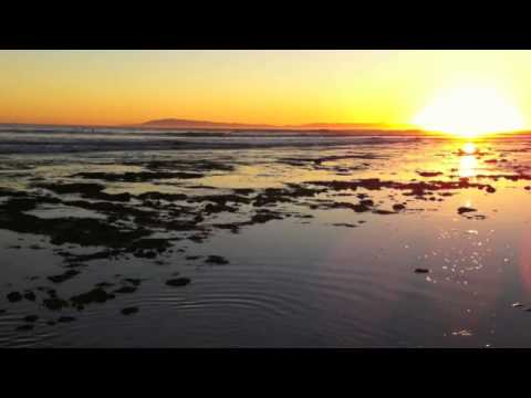 Divine Harvest - The Mae Shi