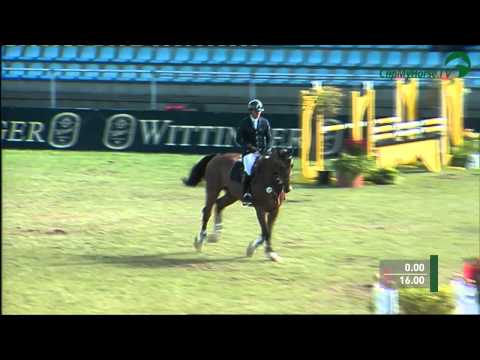 Hannoveraner-Springpferde-Championat der 4-jährigen: Cayman in topform