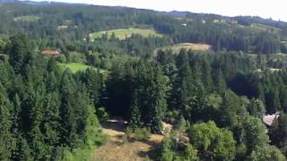 What a beautiful morning