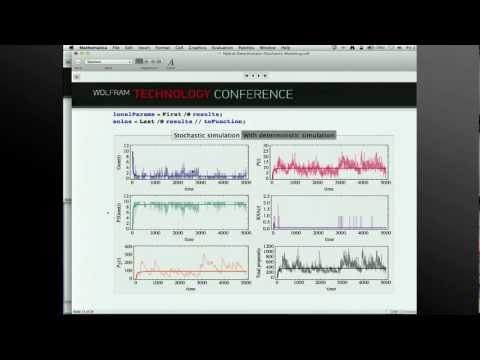 Hybrid Deterministic-Stochastic Modeling