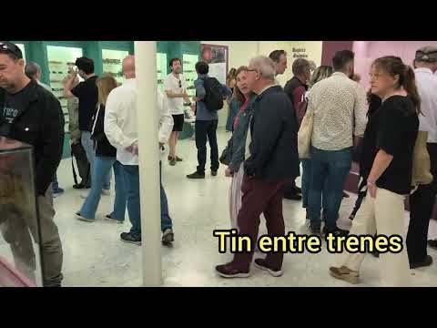 Visita al museo del ferrocarril de Madrid (Delicias)